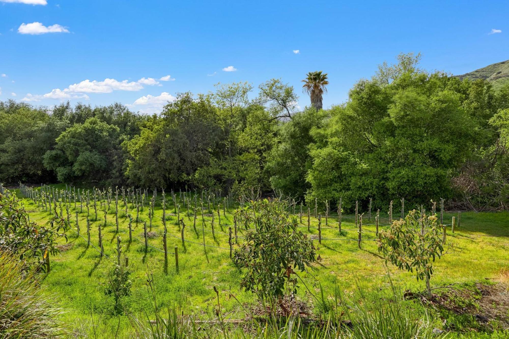 Grapevine By Avantstay Secluded 5Br Villa 4 Acres Of Vineyards Avo Groves Temecula Exterior photo